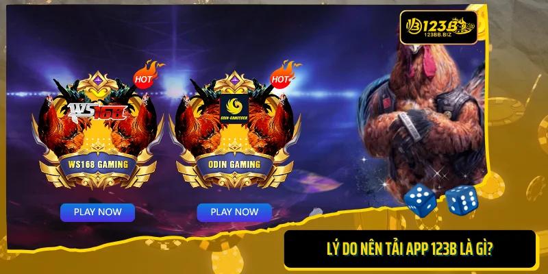 Lí do nên tải app 123b là gì