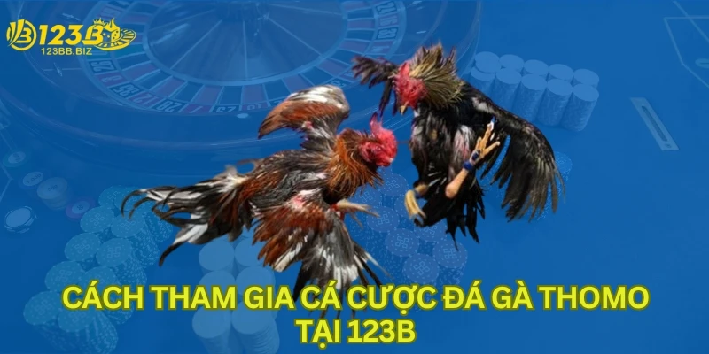 Cách tham gia cá cược đá gà thomo tại 123B