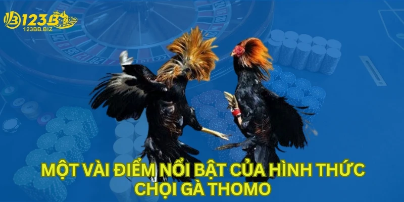 Một vài điểm nổi bật của hình thức chọi gà Thomo